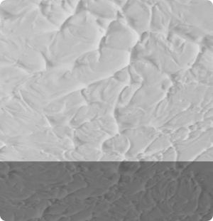 TEXTURED CEILING RMVL