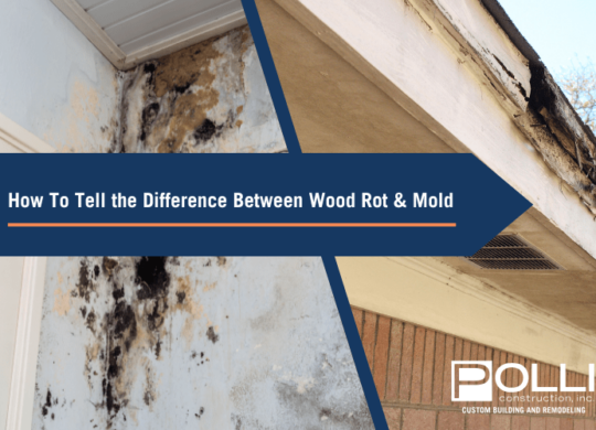 How To Tell the Difference Between Wood Rot and Mold