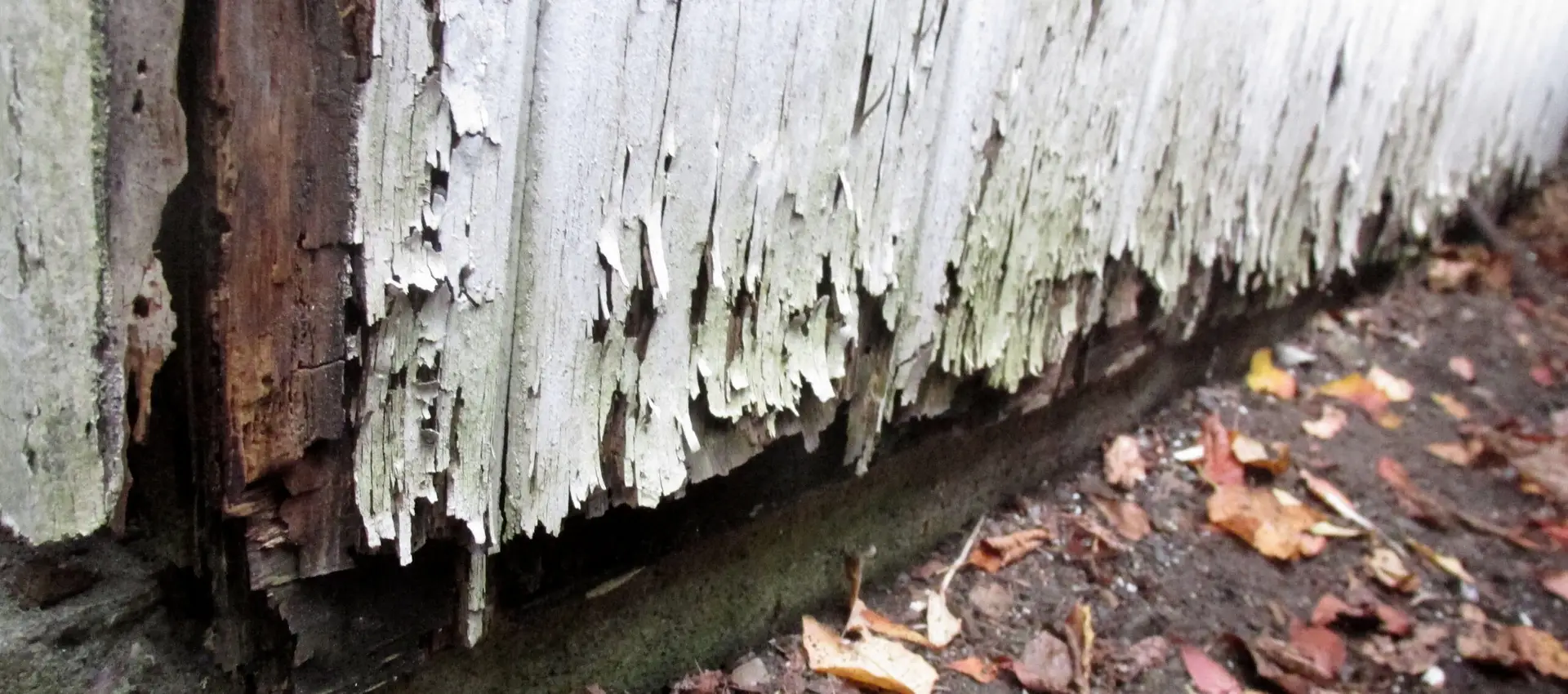 Rot Doctors Will Take Care of Wood Rot In Your Home.