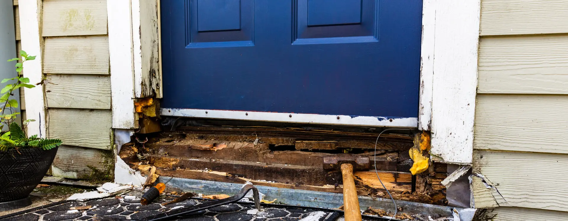 Wood Rot Discovery and Repair by the Polli Division Rot Doctors.