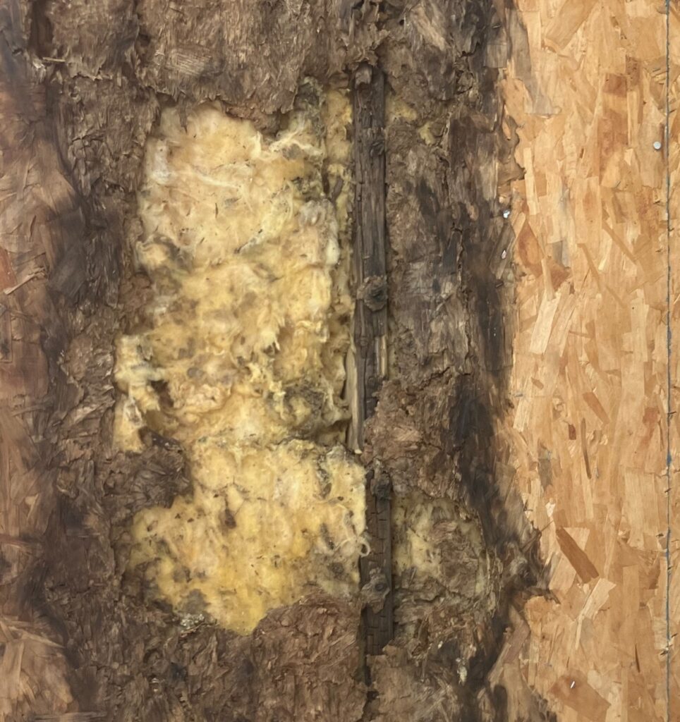 Home Wood Rot can be repaired by Polli Constructions.