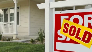 Let Polli Constructions' seven service divisions help